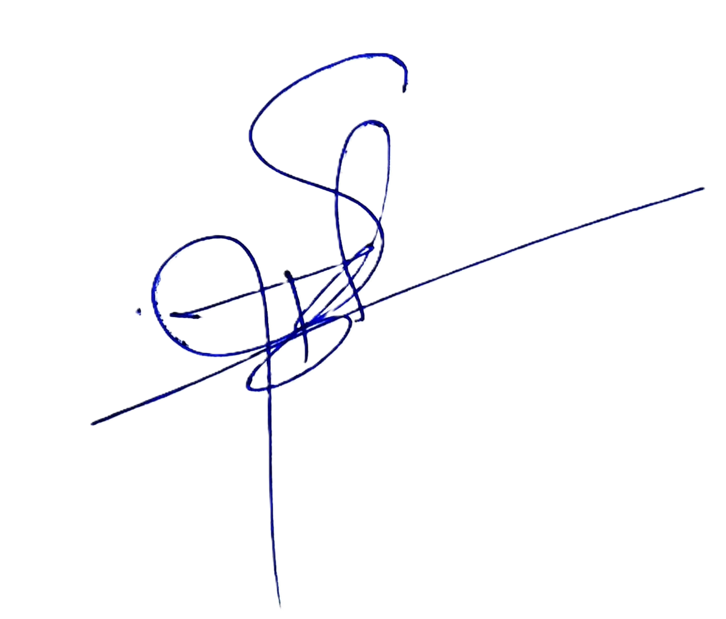 Authorized signature